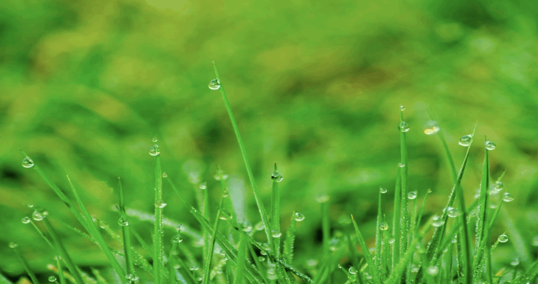 How Often Should You Check Your Sump Pump in Summer?